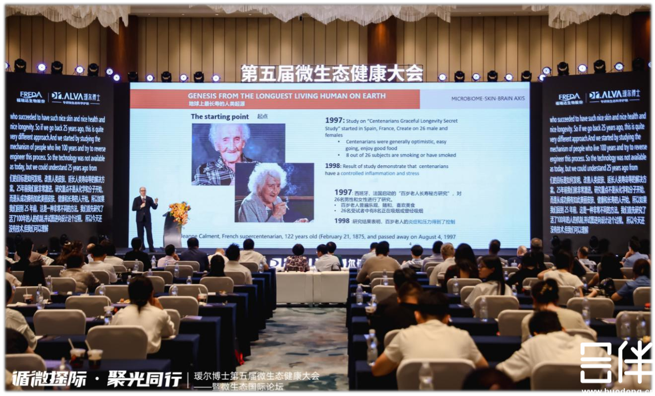 AI同传，Ai翻译，实时翻译