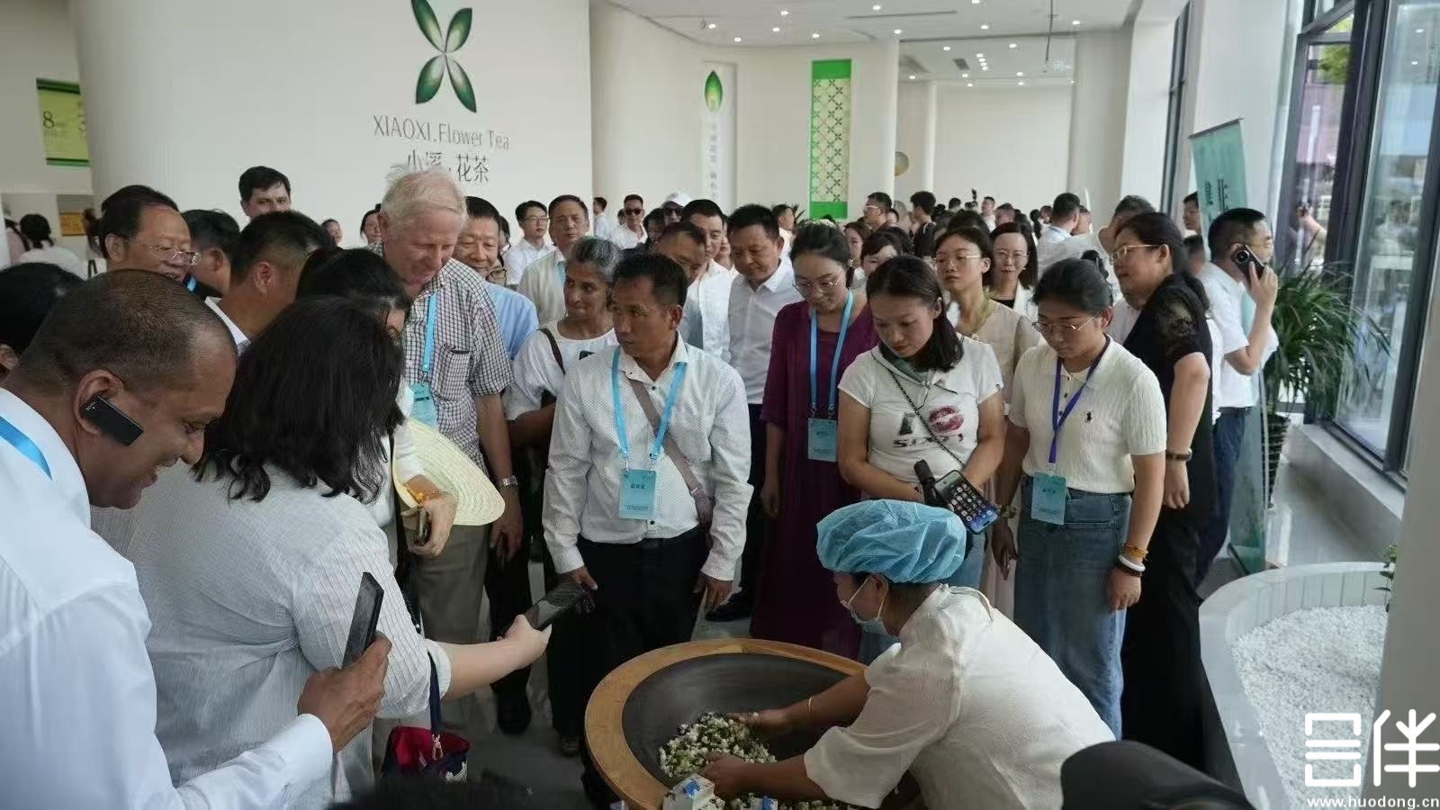 电子签约，iPad签约，绿茶大会
